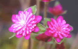 V@@|bgcP@VCOOO|