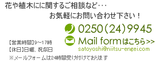 花や植木にに関するご相談など･･･　お気軽にお問い合わせ下さい！